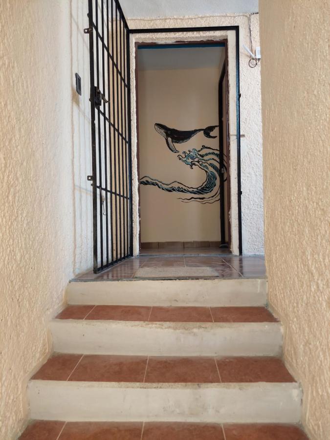 Venado 28 Hostel Cancun Exterior photo